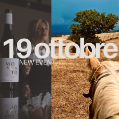 Passeggiata a cavallo e degustazione vini